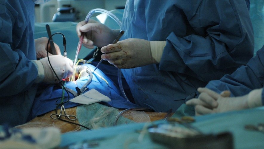 Immunotherapy: Harnessing the Body\\\'s Defense System